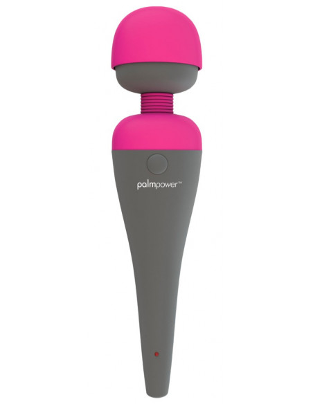 PalmPower Massager