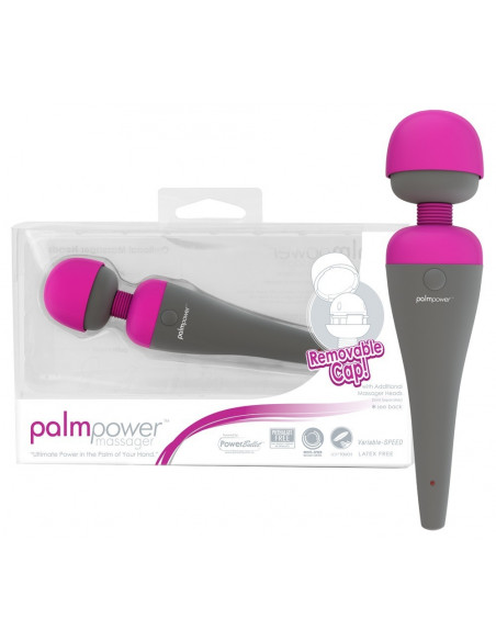PalmPower Massager