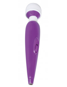 Passion Pointer mini 2