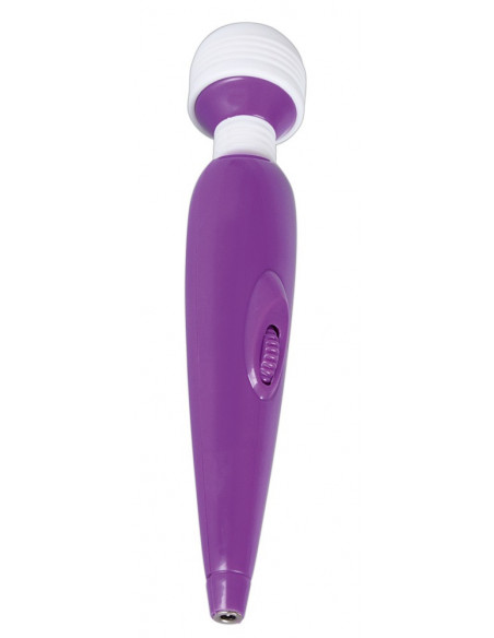 Passion Pointer mini
