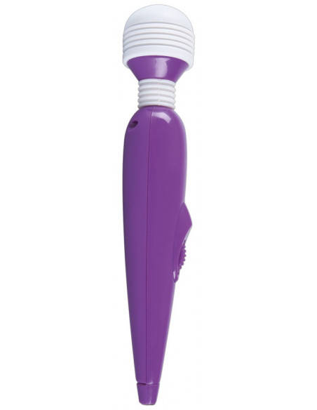 Passion Pointer mini