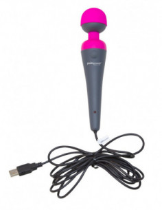 Palm Power Plug and Play 2
