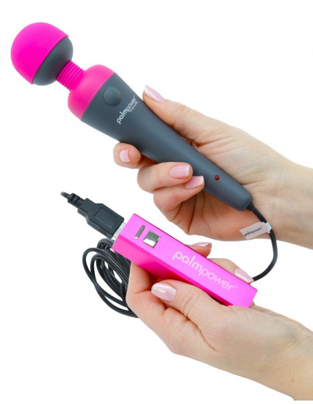 Palm Power Plug and Play