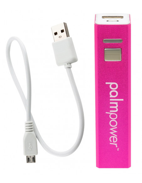 Palm Power Plug and Play