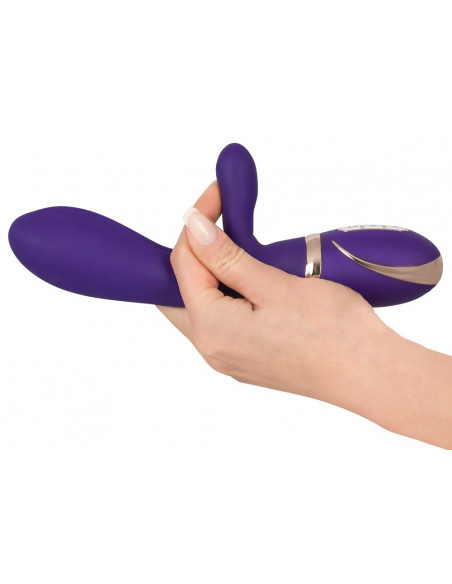 Duo Rhapsody Purple