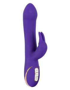 Rabbit Esquire Purple 2