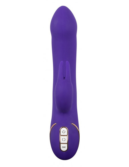 Rabbit Esquire Purple