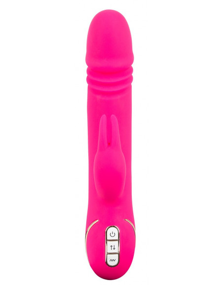 Rabbit Skater Pink