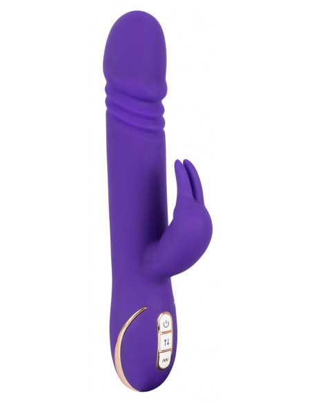 Rabbit Skater Purple