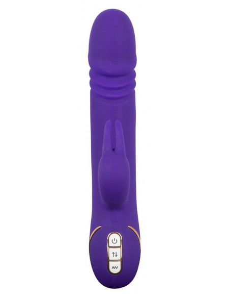 Rabbit Skater Purple