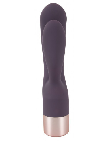 Elegant Vibrator Double Vibe