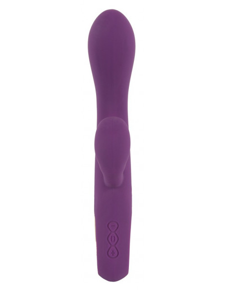 Rabbit Vibrator petit purple