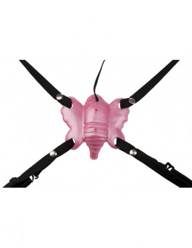 Venus Butterfly