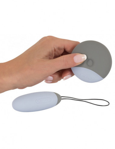 RC Love Ball and Touch Vibrator