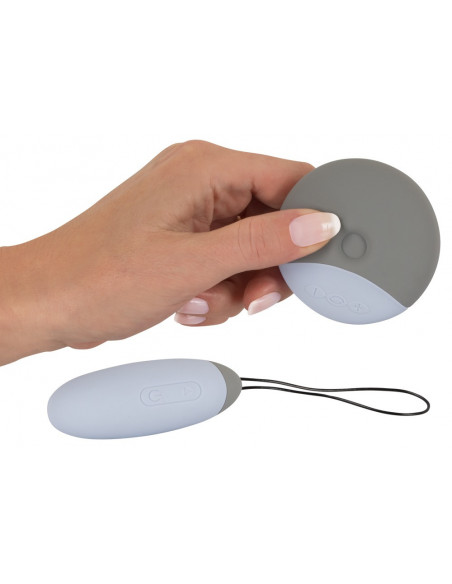 RC Love Ball and Touch Vibrator