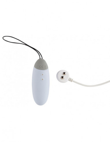 RC Love Ball and Touch Vibrator