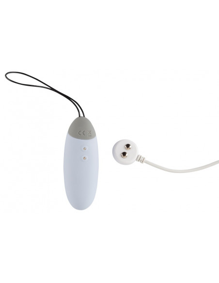 RC Love Ball and Touch Vibrator