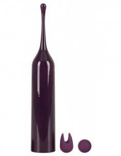 Spot Vibrator with 2 tips 2