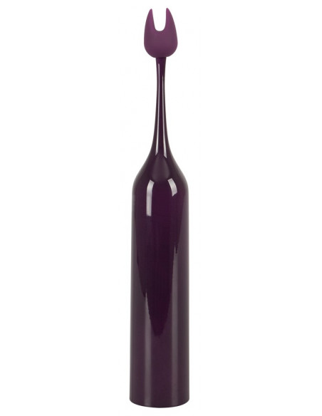 Spot Vibrator with 2 tips