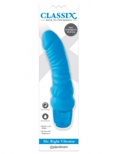 Mr. Right Vibrator Blue