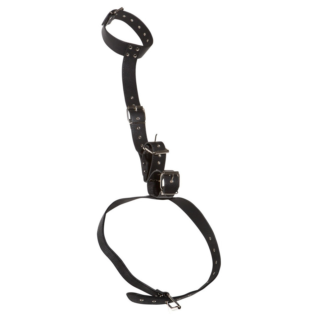 Neck and Hand Restraints