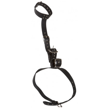 Neck and Hand Restraints