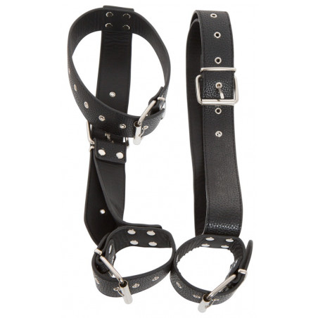 Neck and Hand Restraints