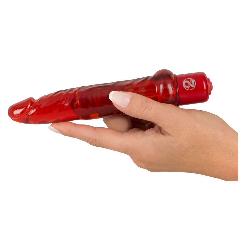 Anal Vibrator