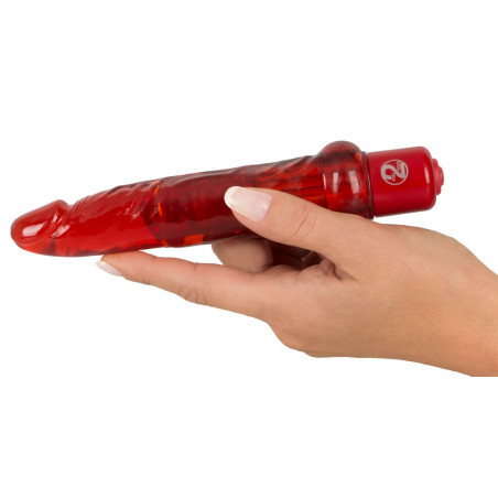 Anal Vibrator